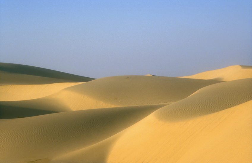 Grand Erg Oriental
Sahara, près de El Oued (al wad)
Keywords: Sahara;Sahara Algérie;El Oued;photo ©Christine Prat