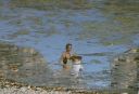 Filename=chr-64453.jpg
Filesize=443KiB
Dimensions=811x553
Date added=Aug 25, 2020 chr-64453.jpg