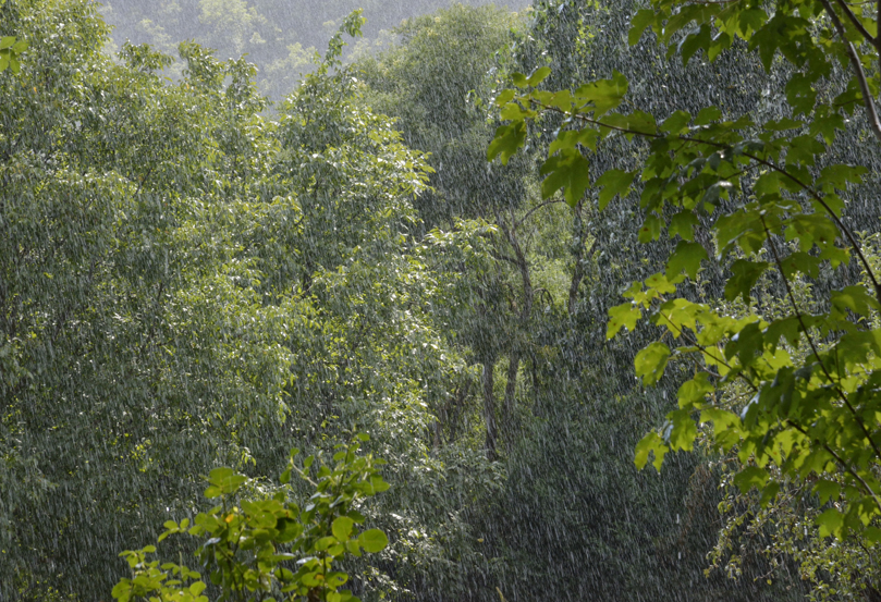 La pluie, le Rozier, août 2018
Rain, much awaited
Keywords: le Rozier;gorges de la Jonte;photo Christine Prat;christine prat photography