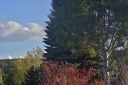 Filename=chr-58058.jpg
Filesize=494KiB
Dimensions=830x553
Date added=Jan 05, 2018 chr-58058.jpg