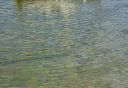 Filename=chr-64103.jpg
Filesize=438KiB
Dimensions=798x553
Date added=Jul 24, 2020 chr-64103.jpg