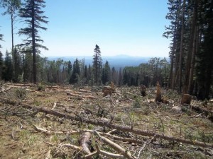 Peaksblogspot3